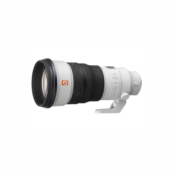 SEL300F28GMの買取