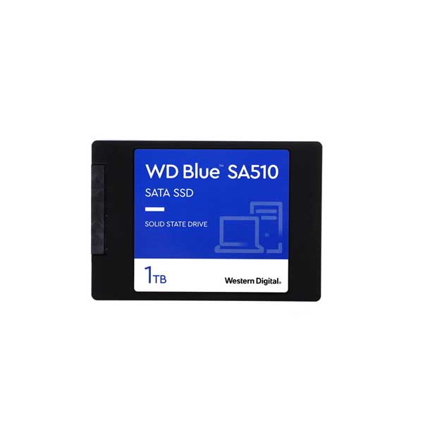 wds100t3b0a